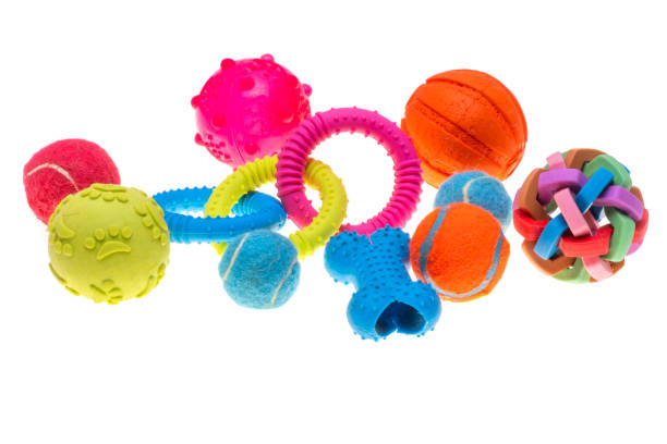 istock dog toys isolated 2196165707