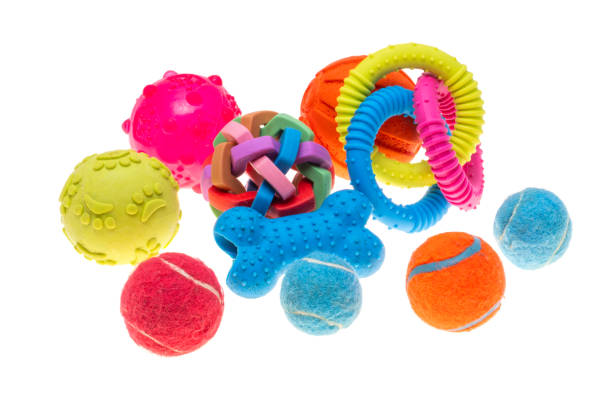 istock dog toys isolated 2196166154