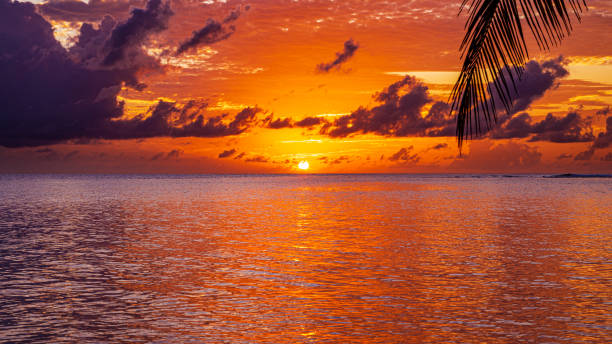 istock Sunrise over the tropical ocean with dramatic sky and clouds 2196166355