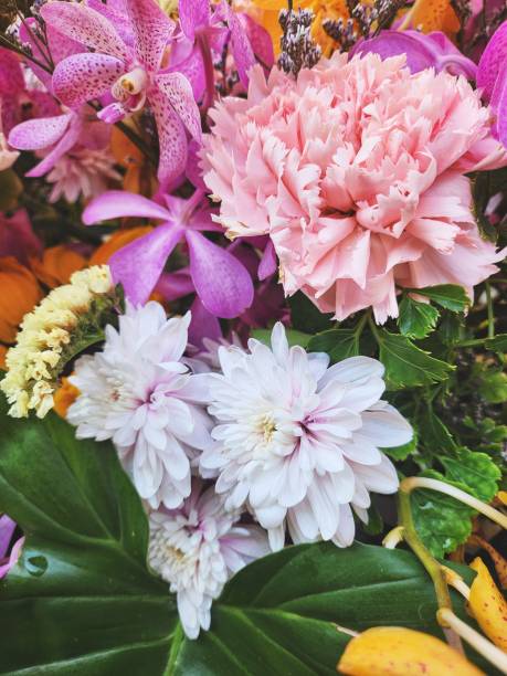 bouquet of beautiful flowers