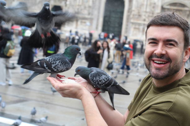 istock Handsome man feeding the pigeons 2196167261
