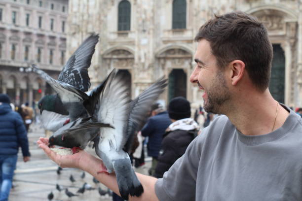 istock Handsome man feeding the pigeons 2196167293