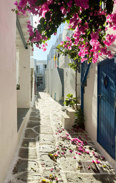istock A charming alley in Paros, Naoussa with whitewashed buildings, 2196168535