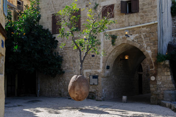Small orange, hanging tree in an earthenware pot elevated off the ground and suspended by metal chains from the walls of houses nearby.