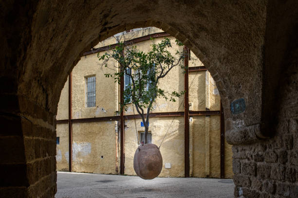 Small orange, hanging tree in an earthenware pot elevated off the ground and suspended by metal chains from the walls of houses nearby.