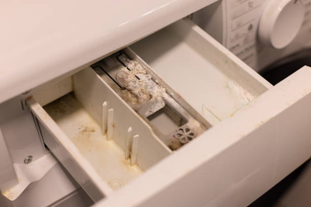 Mold, dirt and limescale in container of washing machine. .
