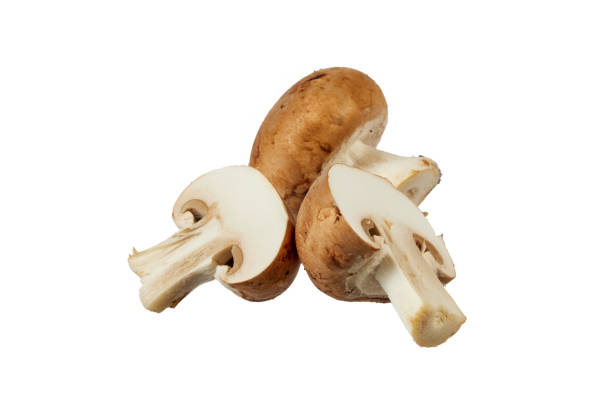 istock champignon mushroom isolated on white 2196172815