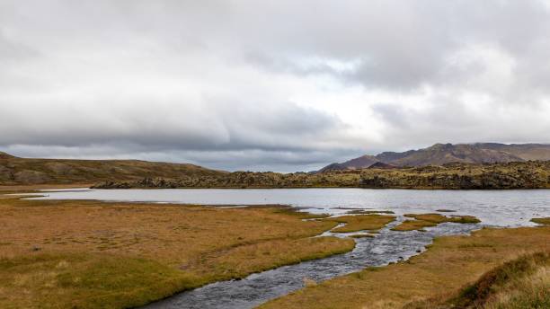 istock Scenic view of a tranquil Icelandic landscape with a river flowing through a grassy plain 2196177126
