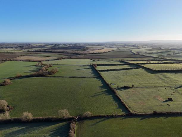 istock Aerial view of green fields under a blue sky. 2196177981