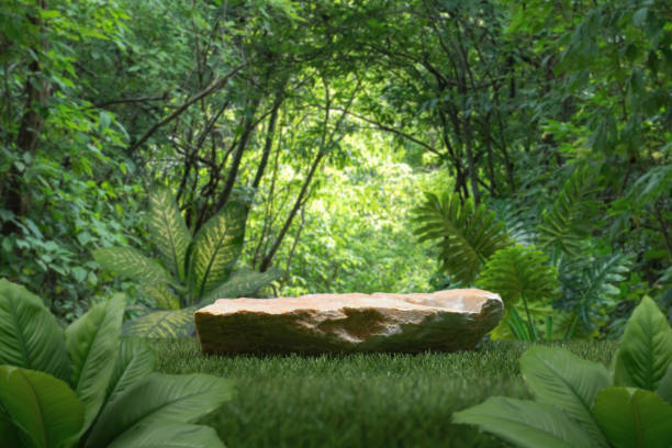 istock Stone tabletop podium floor outdoors in tropical forest nature background.natural product present pedestal rock stand display,healthy life or eco concept. 2196178943