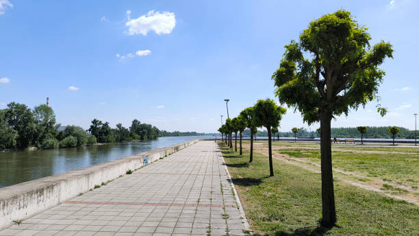 istock landscape in the spring in bright sunny day 2196180198