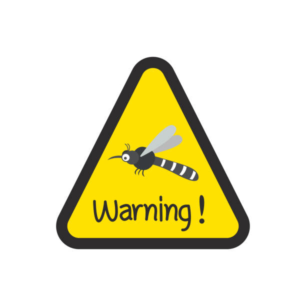 istock mosquito carrier of dengue fever concept 2196181059