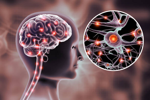 istock Neurons, Active nerve cells,  neuronal network. 3d illustration 2196186655