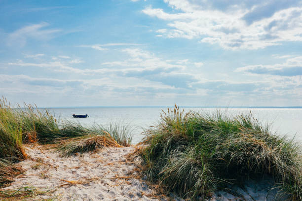 Seashore with Sailing Boat in the Background