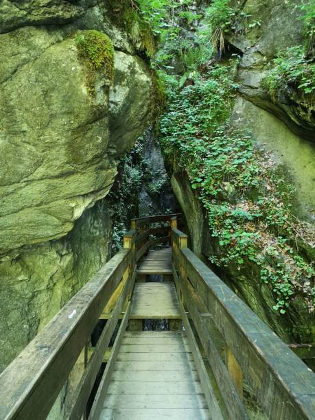 istock Scenic wooden walkway through a green canyon. 2196188786