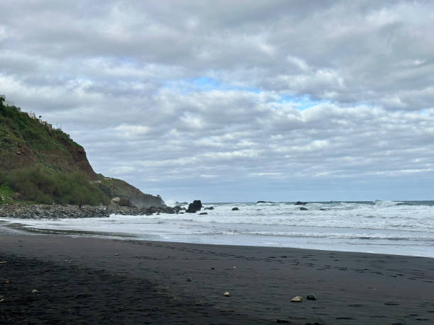 istock Tenerife Island. Canary Islands 2196190859