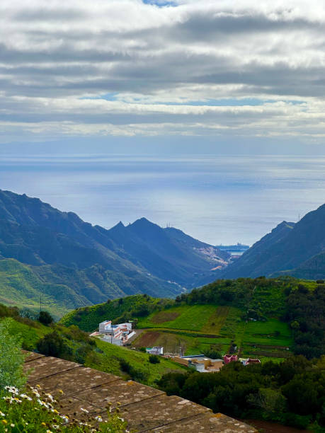 istock Tenerife Island. Canary Islands 2196191262