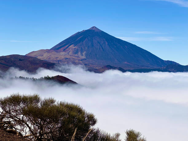 istock Tenerife Island. Canary Islands 2196191305