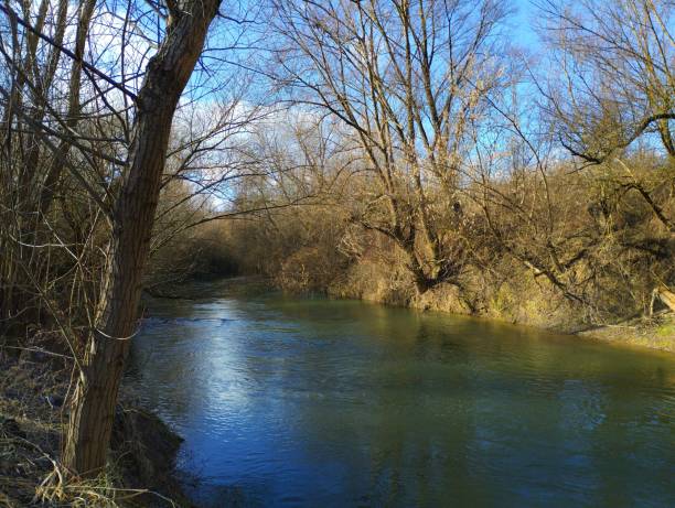 istock Beautiful small river in spring with large bare willows on the banks. Beautiful calm clean river with a quiet flow and overgrown banks. 2196193923