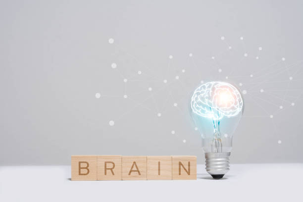 istock Innovative brain concept illustrated with a light bulb and wooden blocks spelling 'brain' on a clean, minimalistic background. 2196196014