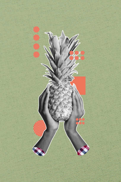 istock 3D photo collage composite trend artwork sketch image of black white silhouette two hands hold between pineapple fruit like bored head 2196198750