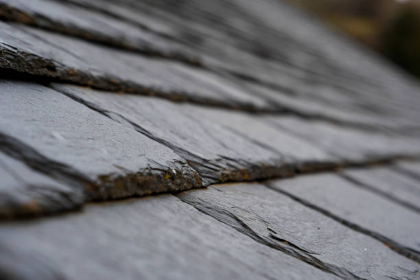 istock Slate roof tiles create a textured surface that enhances the architectural beauty of buildings during early morning light 2196199953