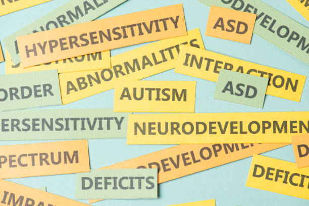 istock ASD autism neurodevelopmental spectrum disorder, deficits in social communication and interaction, brain with impairment, hypersensitivity and abnormalities 2196207535