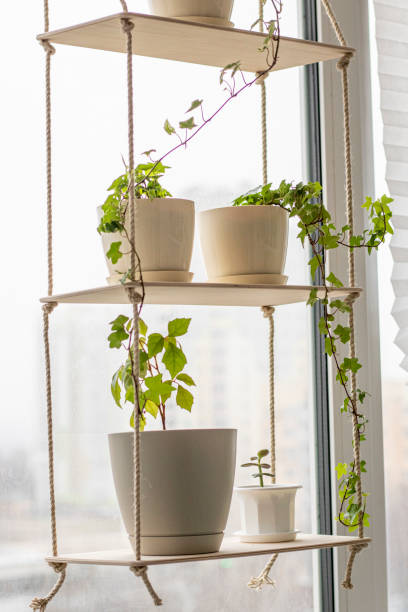 Decorative shelf with flower pots on it by the window. Interior