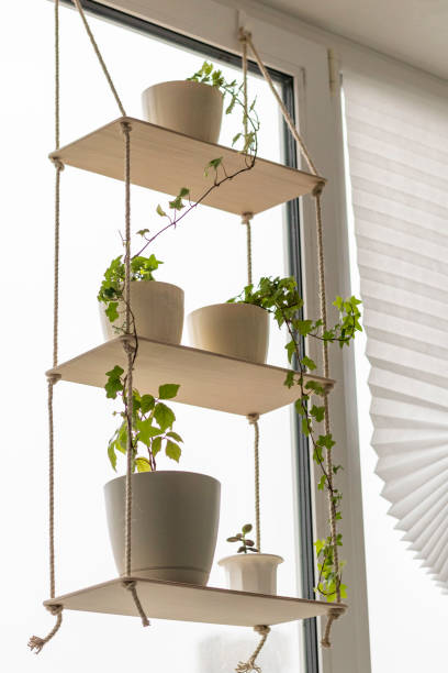 istock Decorative shelf with flower pots on it by the window. Interior 2196212529