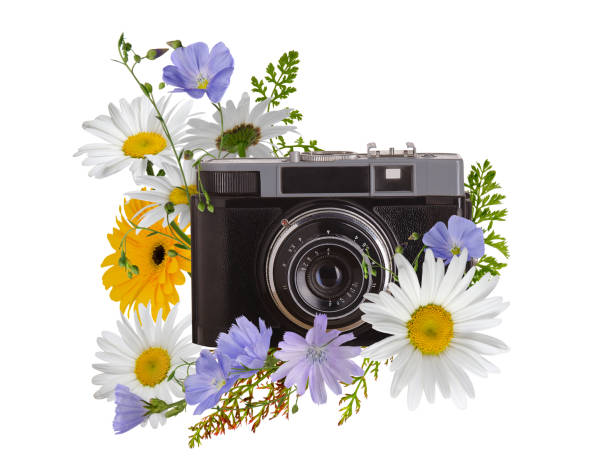 Old fashioned plastic and metal camera with flower bouquet isolated on white background