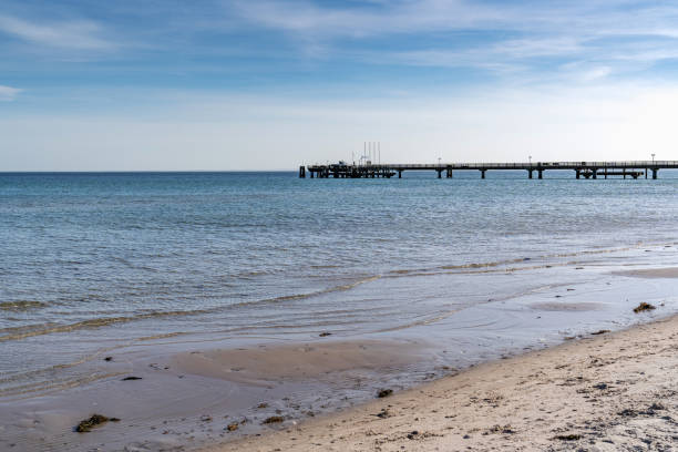 A Baltic Sea beach with a pier in the background. The water is calm and the sky is clear. The scene is peaceful and serene