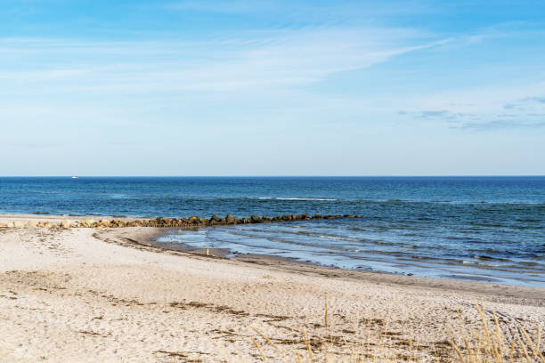 istock A beach with a dog sitting on the sand on Baltic sea 2196221959