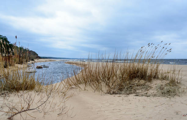 istock Baltic sea and dunes on a cold windy autumn day 2196223853