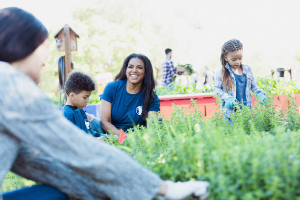 istock Community Garden Volunteers Working Together, Smiling 2196224717