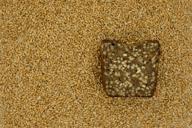 Wheat and Rye Wholemeal Flour Bread. Sourdough Multigrain Bread. Sunflower seeds. Wheat background. Top view. Copy space.