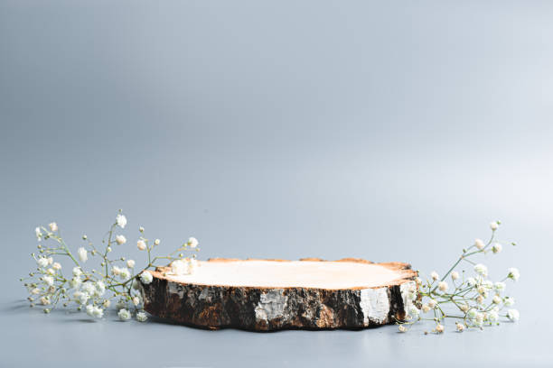 istock Empty wood cut poduim and white gypsophila flowers 2196226552