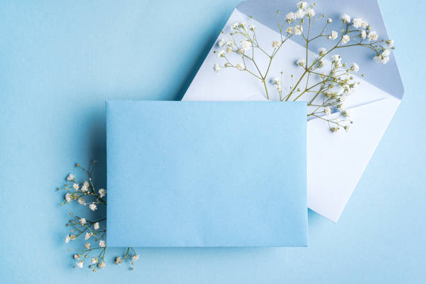 istock Empty blank card with white gypsohila flowers 2196226807