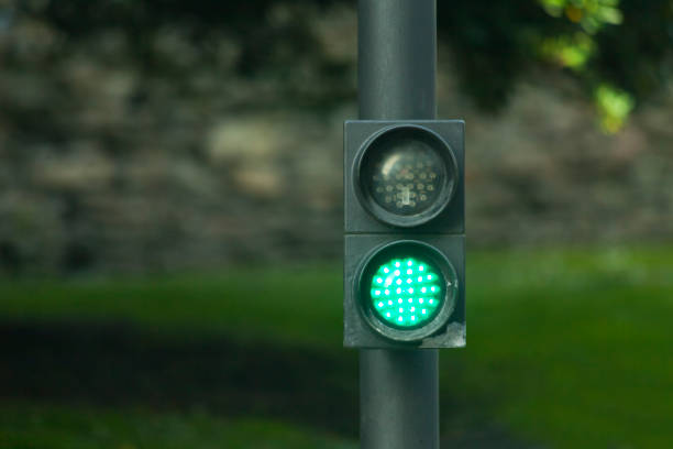 Red traffic light on grass isolated on orange background. 3d illustration