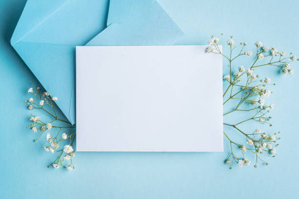 istock Empty blank card with white gypsohila flowers 2196227416