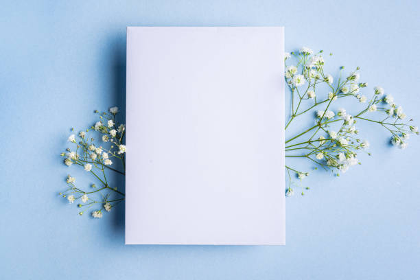 istock Empty blank card with white gypsohila flowers 2196227425