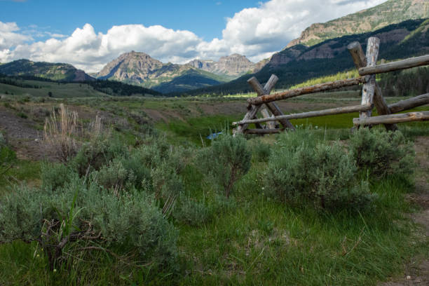 istock Yellowstone National Park scene 2196236482