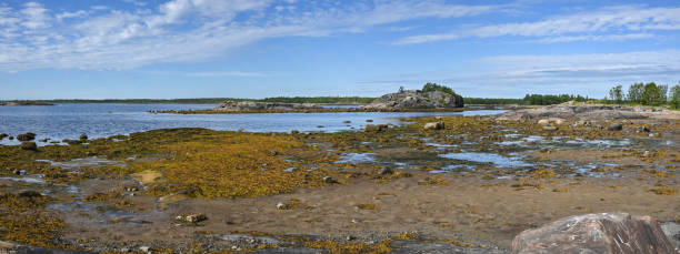 istock Panorama of the White Sea coast. 2196239000