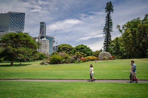 Families enjoy a sunny day in a Sydney park, bonding and relaxing amidst greenery. The vibrant atmosphere promotes joy and togetherness during outdoor leisure activities.