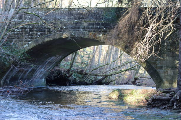 istock Bridge over a woodland river in winter sunshine 2196242992