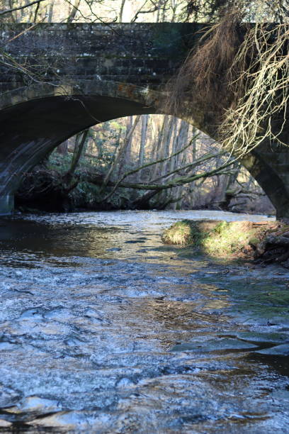 istock Bridge over a woodland river in winter sunshine 2196243241