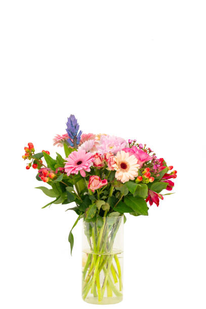 istock Flower in a woman’s hand 2196243451