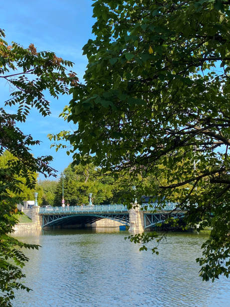 istock Road bridge seen through the trees next to a lake 2196244155