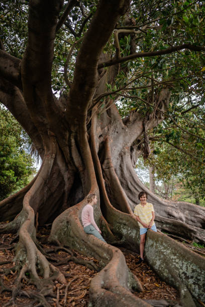 istock Family bonding under a majestic tree in Sydney during a sunny weekend 2196244694