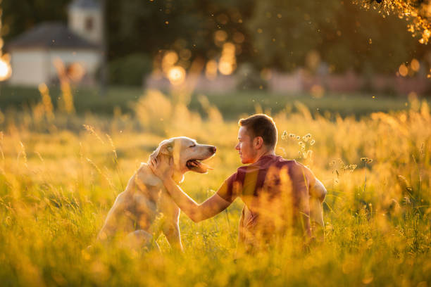 istock enjoying idyllic summer sunset with his labrador retriever 2196245324