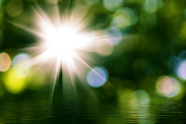 Golden beams of sunlight break through the vibrant green foliage, casting a magical glow over the tranquil environment, perfect for daydreaming and reflection.